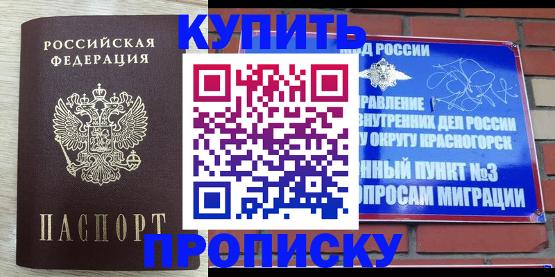 прописка гарантия в Стародубе